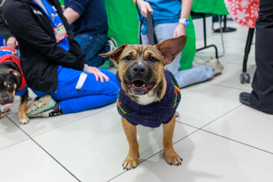 TUH-Main Campus employees loved meeting new furry friends!