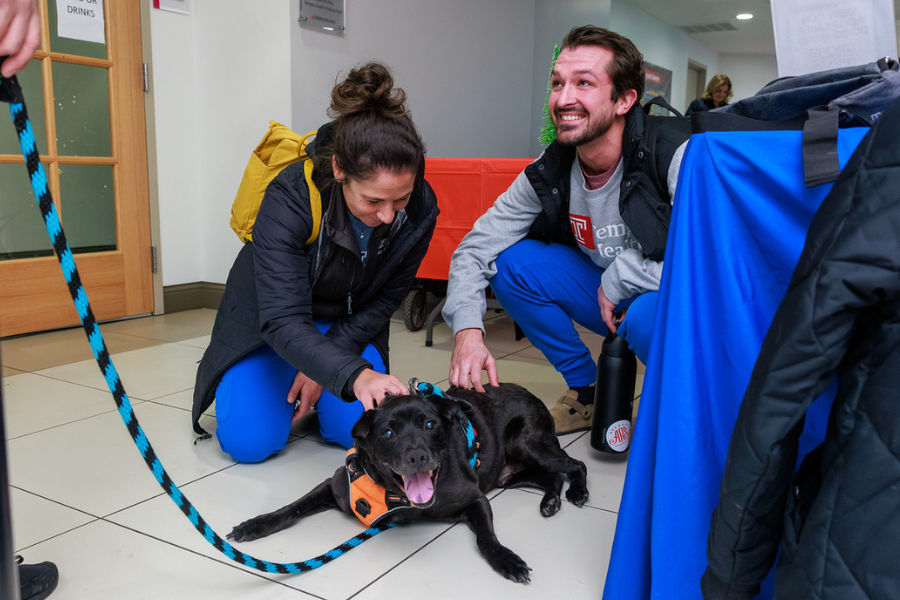 TUH-Main Campus employees loved meeting new furry friends!
