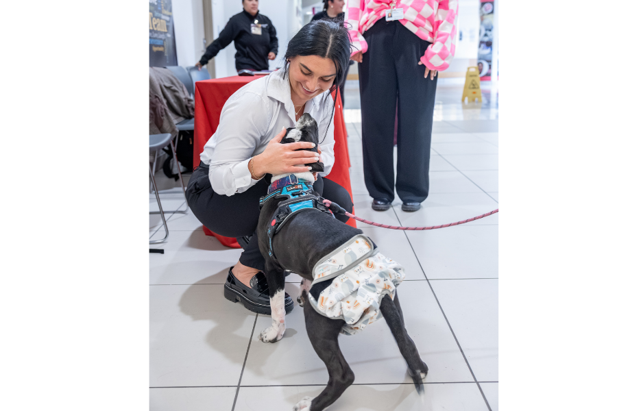 Temple Health’s House Staff enjoying this year’s appreciation events.