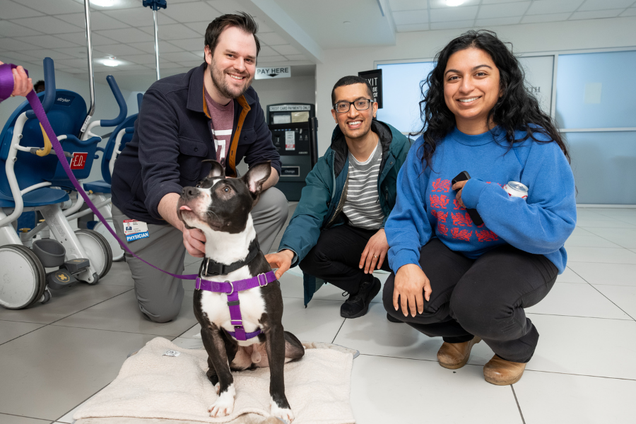 Temple Health’s House Staff enjoying this year’s appreciation events.