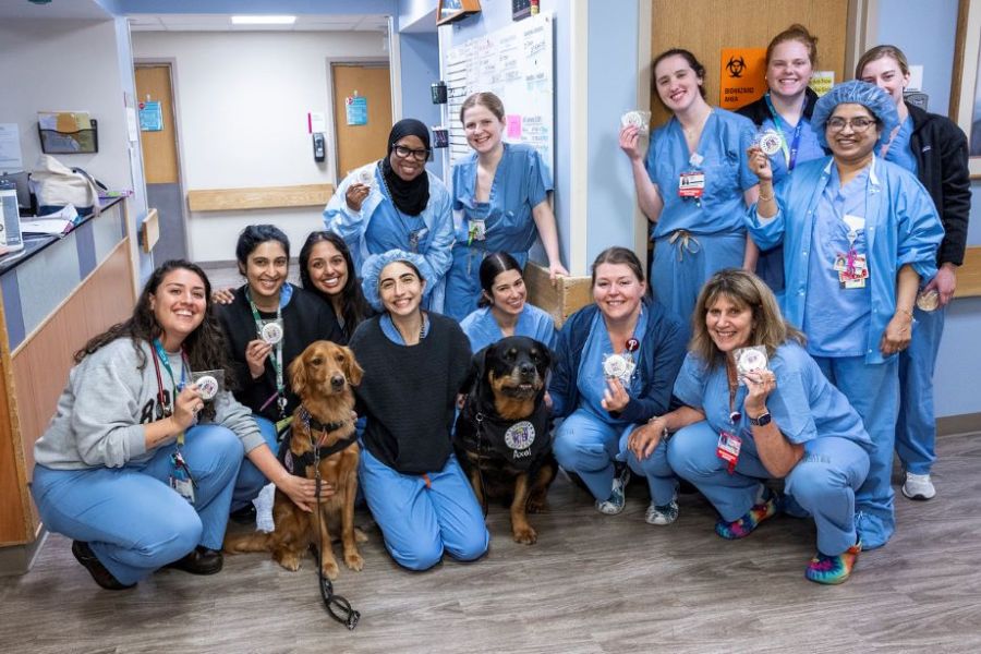 nurses week nurses celebrating