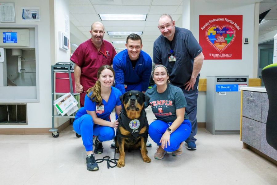 nurses week nurses celebrating