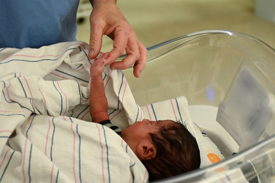 Physician holding baby's hand