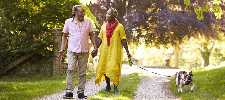 Senior couple walking with pet bulldog