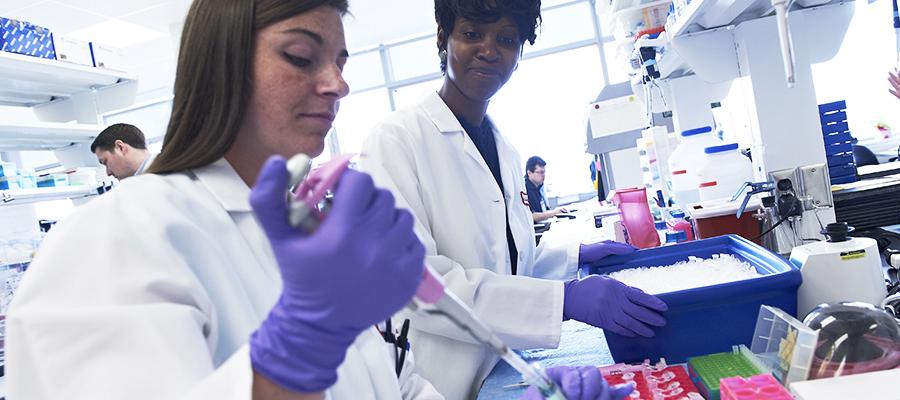 Inside Temple Health research lab