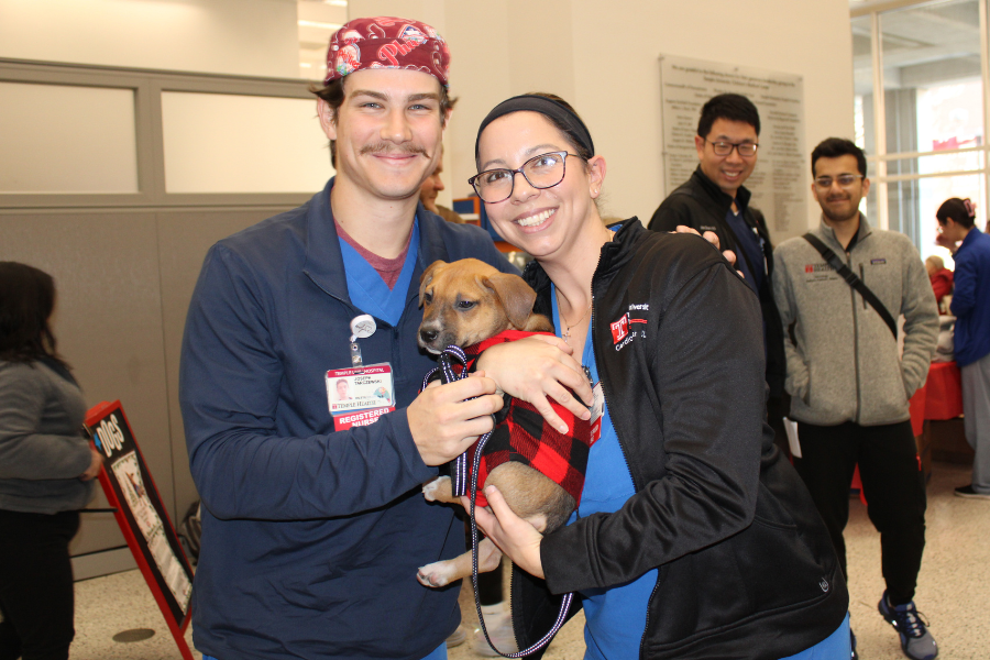 What’s cuter than an adoptable puppy? An adoptable puppy in a sweater, of course!