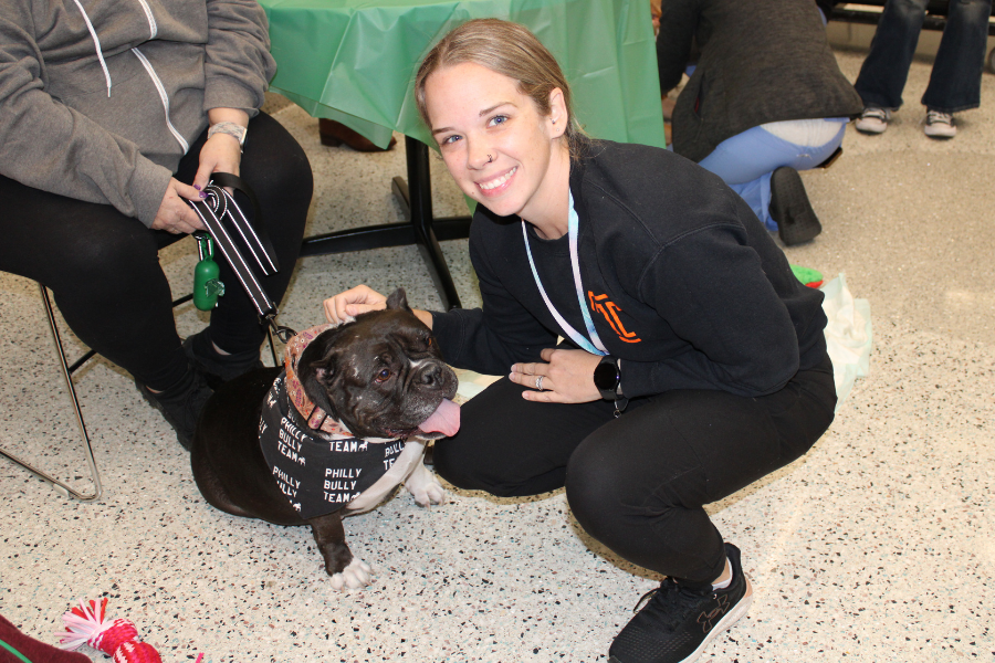This bulldog came to us courtesy of the Philly Bully Team.