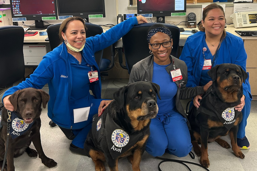Arlo, Axel, and Jolene bond with our nursing team members.