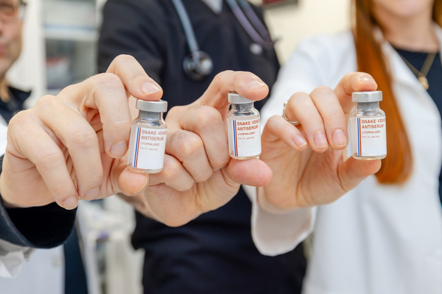 Antivenom similar to the vials shown here was sourced from the Bronx Zoo and picked up from the Jacobi Medical Center by our Temple Transport Team. 