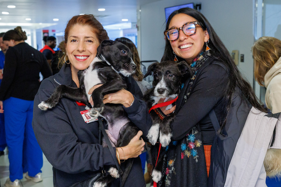 These two puppies from the Pennsylvania SPCA won everyone’s hearts!