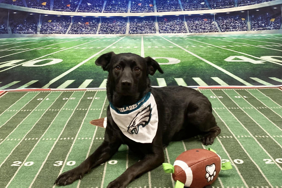 Kelly St John, Fox Chase Cancer Center