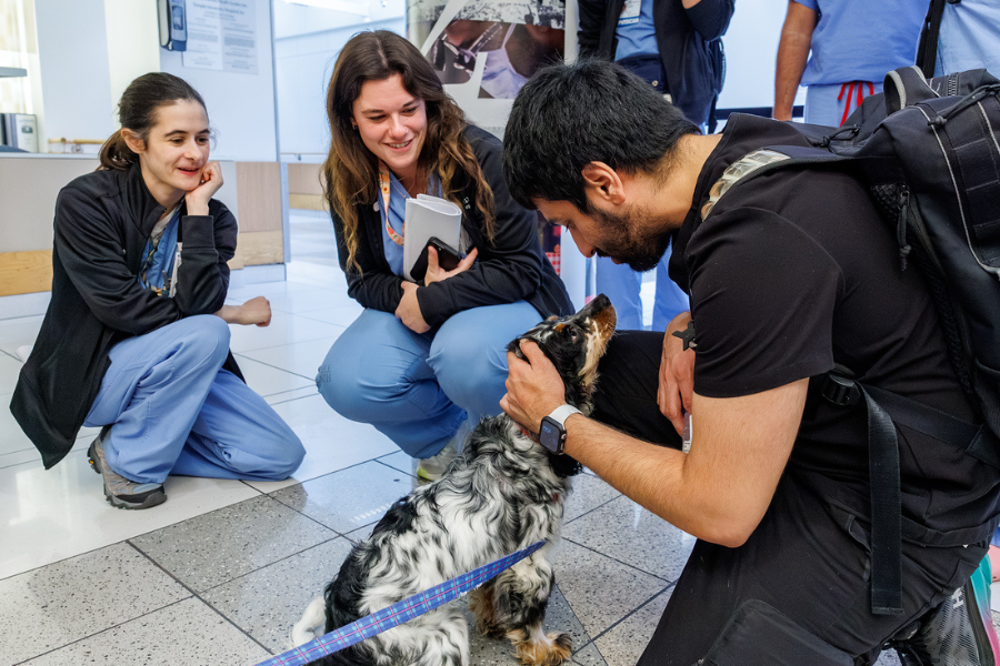 Our TUH-Main Campus employees loved getting quality time with these furry friends—all available for adoption at local rescues!