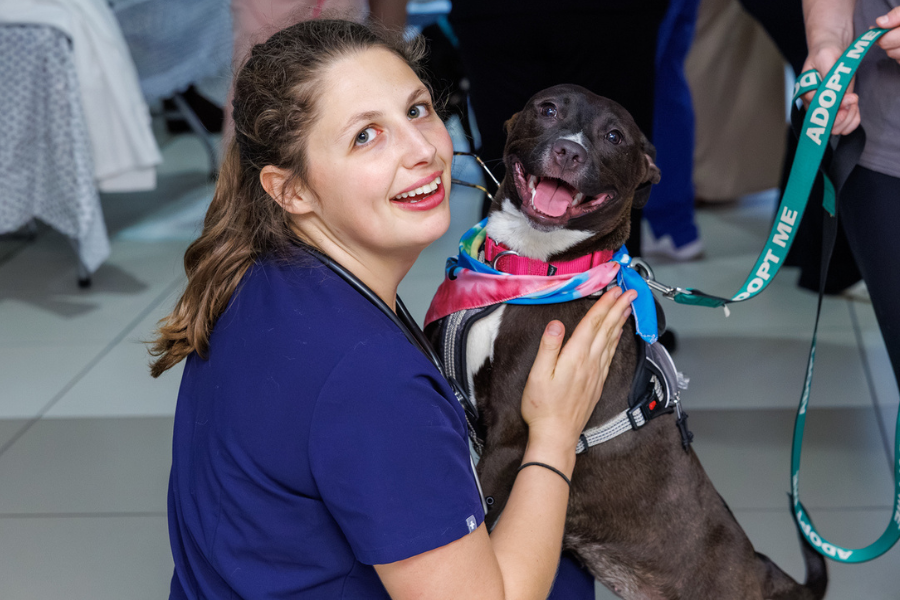 Our TUH-Main Campus employees loved getting quality time with these furry friends—all available for adoption at local rescues!