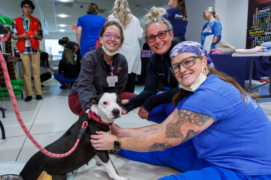 Our TUH-Main Campus employees loved getting quality time with these furry friends—all available for adoption at local rescues!