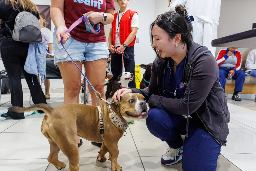 Our TUH-Main Campus employees loved getting quality time with these furry friends—all available for adoption at local rescues!