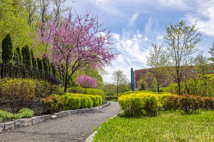 Temple Women & Families Hospital outside landscape