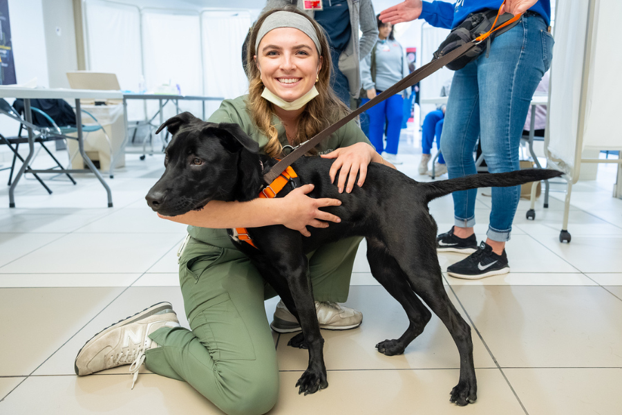 Snapshots from our annual Puppies and Pumpkins event.