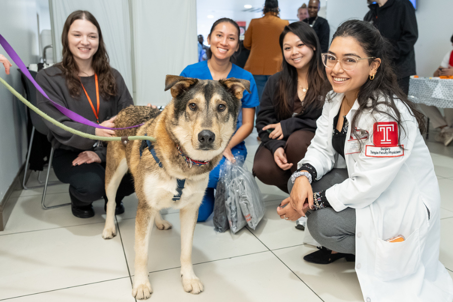 Snapshots from our annual Puppies and Pumpkins event.