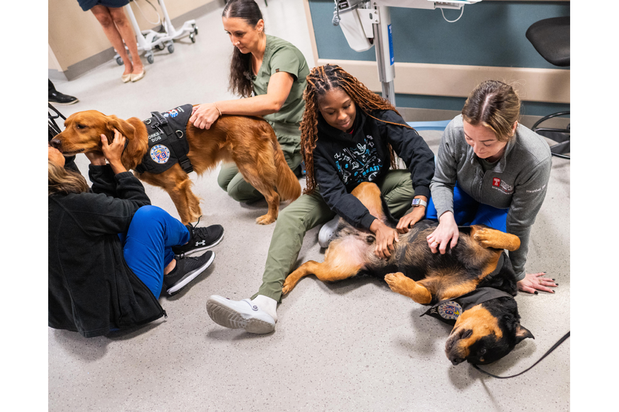 Exclusive photos from @thedogist’s visit to campus!