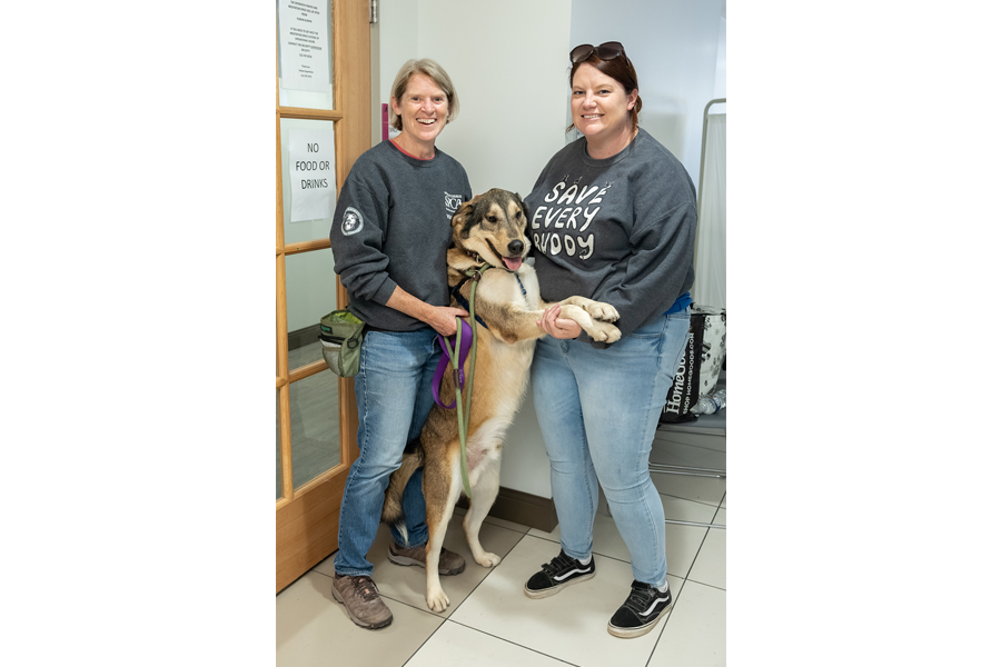 Snapshots from our annual Puppies and Pumpkins event.