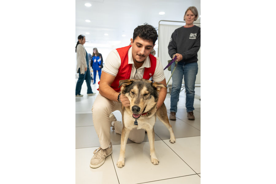 Snapshots from our annual Puppies and Pumpkins event.