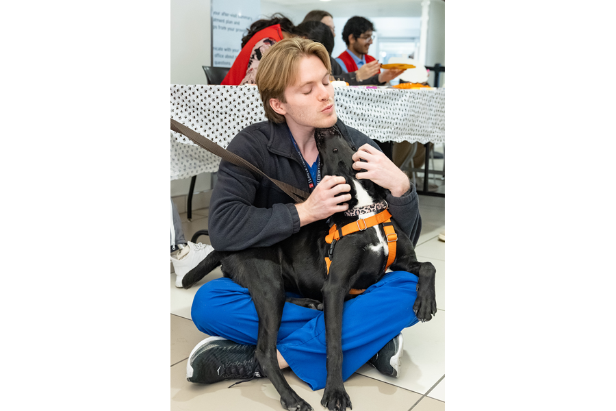 Snapshots from our annual Puppies and Pumpkins event.