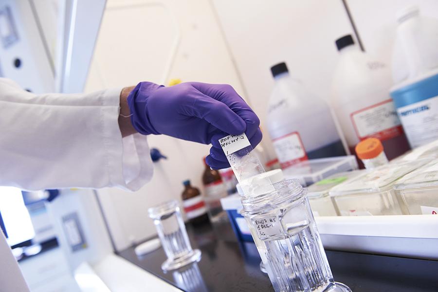 Researcher performing test