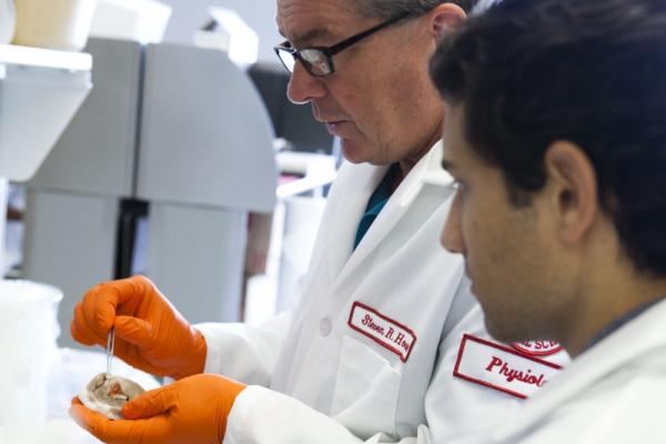 Steve Houser working in lab