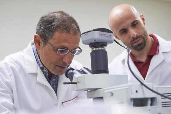 Dr. Domenico Praticò in the Alzheimer's Center at Temple University