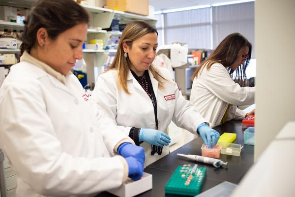 Silvia Fossati, PhD, working in the Alzheimer's Center at Temple