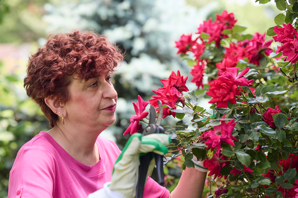 Frustrated and scared by her diagnosis of pulmonary hypertension, Cynthia found the expertise she needed at the Temple Heart & Vascular Institute.