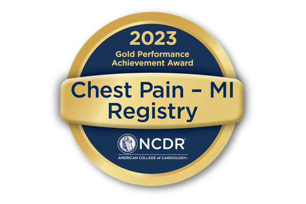 Gold Performance Achievement Award for 2023