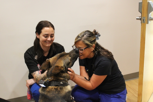 Falko with Emergency Department nurses Dara Delcollo, MSN, RN and Heather Jaramillo, BSN, RN.