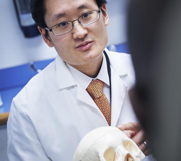 Doctor showing patient brain anatomy 